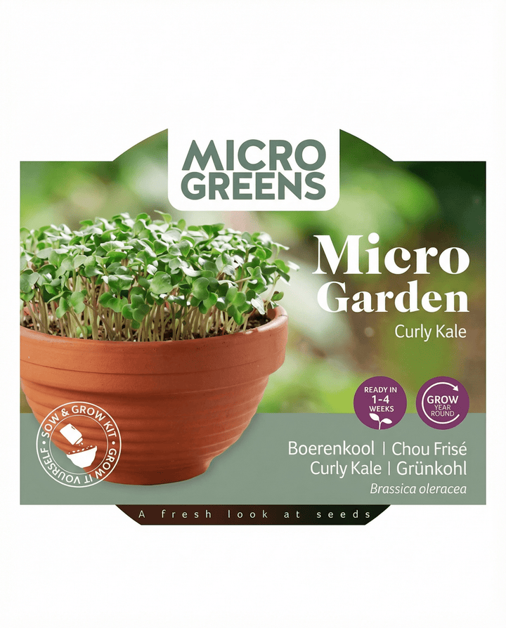 Grünkohl Microgreens Terracotta Dish Samen (Brassica oleracea) – Anzucht-Set