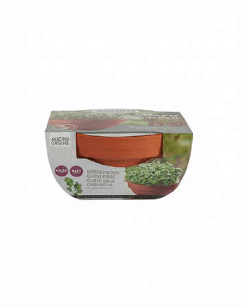 Grünkohl Microgreens Terracotta Dish (Brassica oleracea) – Anzucht-Set Samen von SeedsChoice