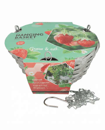 Hanging Basket Strawberry Temptation (Fragaria × ananassa) – Anzuchtset-Samen von SeedsChoice