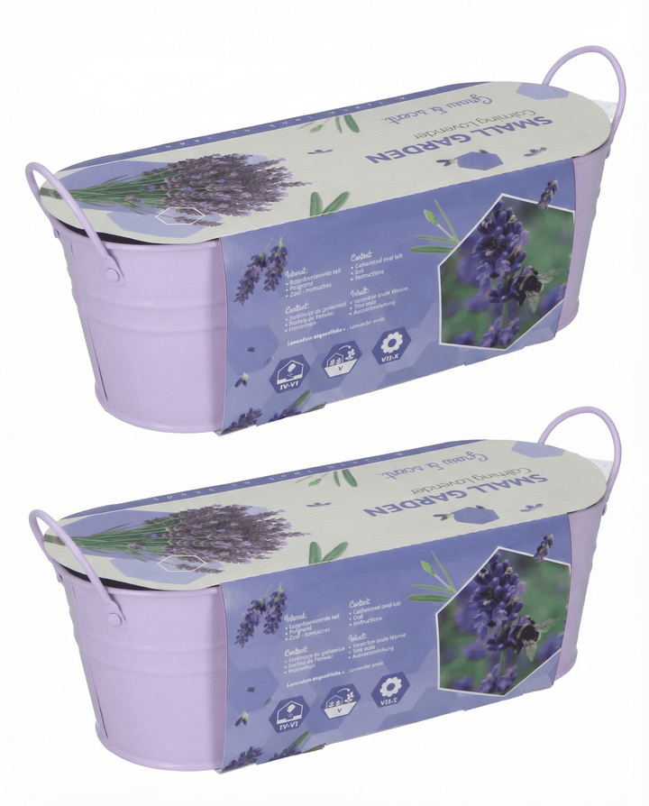 Lavendel Samen (Lavandula angustifolia) – mehrjähriges Anzucht-Set