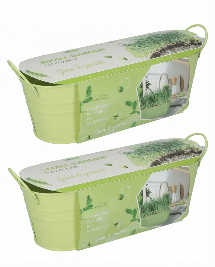 Pea Stardust Microgreens Samen (Pisum sativum) – Microgreens