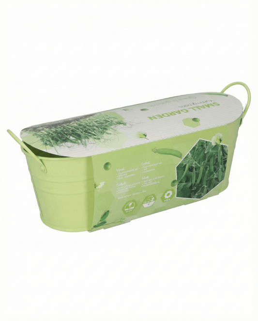 Pea Stardust Microgreens (Pisum sativum) – Microgreens Samen von SeedsChoice