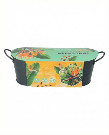 Bird Of Paradise Samen – mehrjährige Blume von SeedsChoice