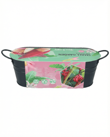 Pink Banana Indoor Pot Samen – Zimmerpflanze von SeedsChoice