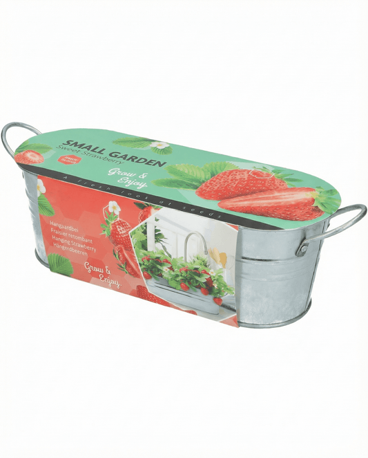 Hänge-Erdbeerfrüchte (Fragaria ananassa) – mehrjährige Samen von SeedsChoice