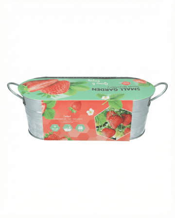 Hanging Strawberry Fruit seeds – perennial from SeedsChoice
