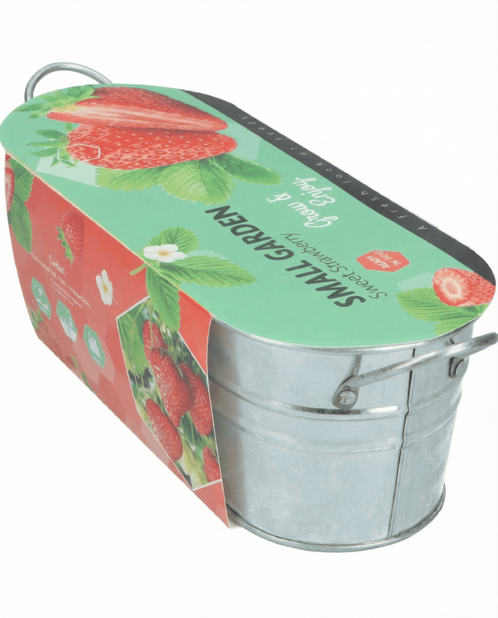 Hänge-Erdbeerfrüchte Samen (Fragaria ananassa) – mehrjährig