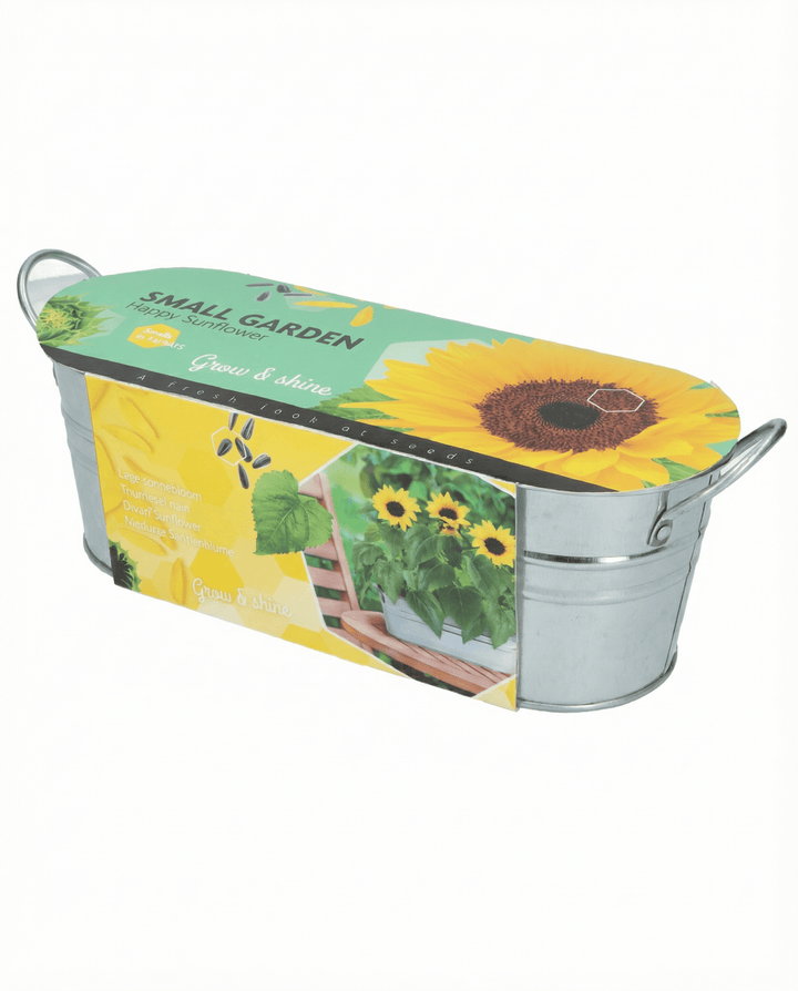Zwerg-Sonnenblume Low Growing Samen (Helianthus annuus) – Blume