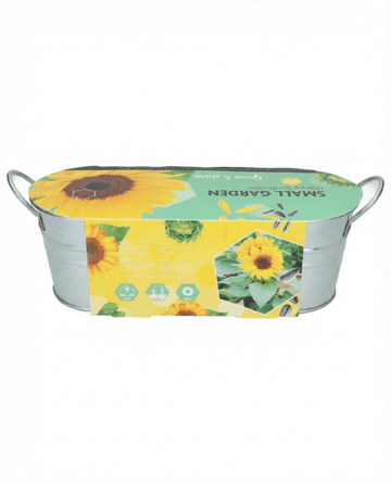 Zwerg-Sonnenblume Low Growing (Helianthus annuus) – Blumensamen von SeedsChoice