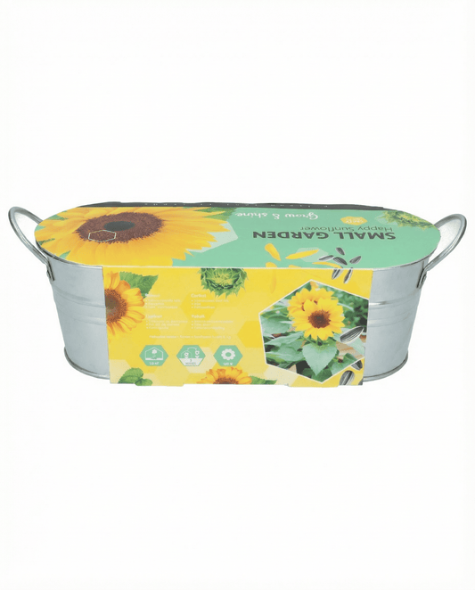 Zwerg-Sonnenblume Low Growing (Helianthus annuus) – Blumensamen von SeedsChoice