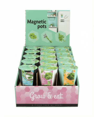 Assortment Basil Chives Parsley Samen – Anzucht-Set von SeedsChoice