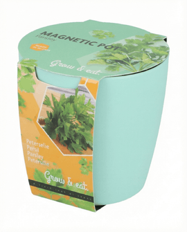 Herb Seeds Assortment Ocimum Basilicum Basil Chives Parsley Grow Kit