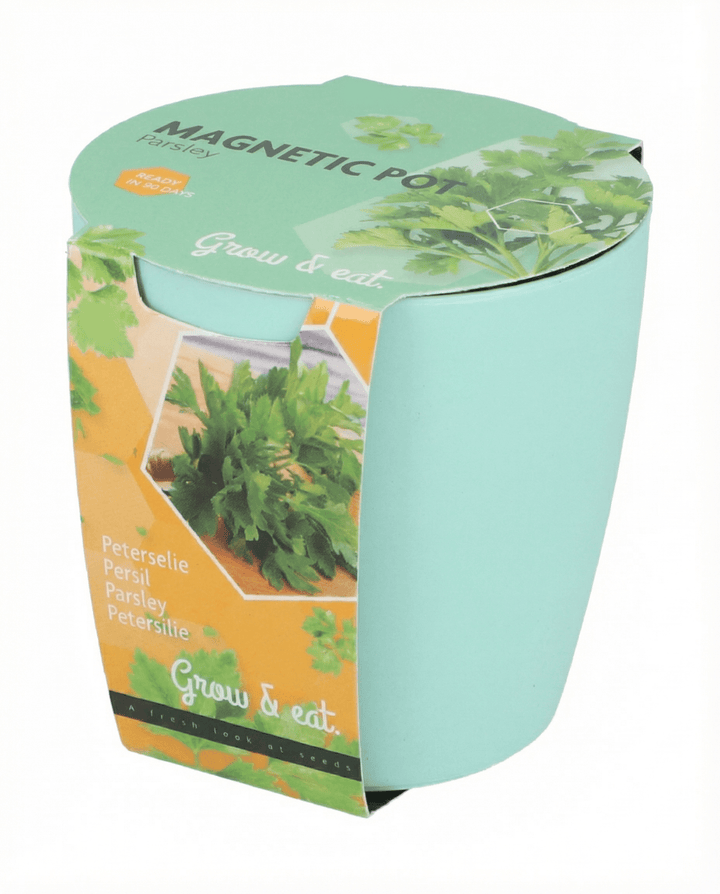 Assortment Basil Chives Parsley Samen (Ocimum basilicum) – Anzucht-Set