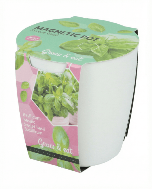 Assortment Basil Chives Parsley (Ocimum basilicum) – Anzucht-Set Samen von SeedsChoice