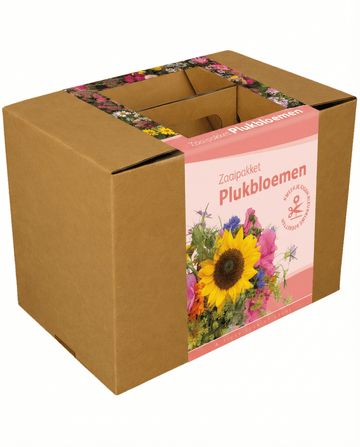 Schnittblumen-Bouquet-Mix mit Schnur und Schere Samen – einjähriges Anzuchtset