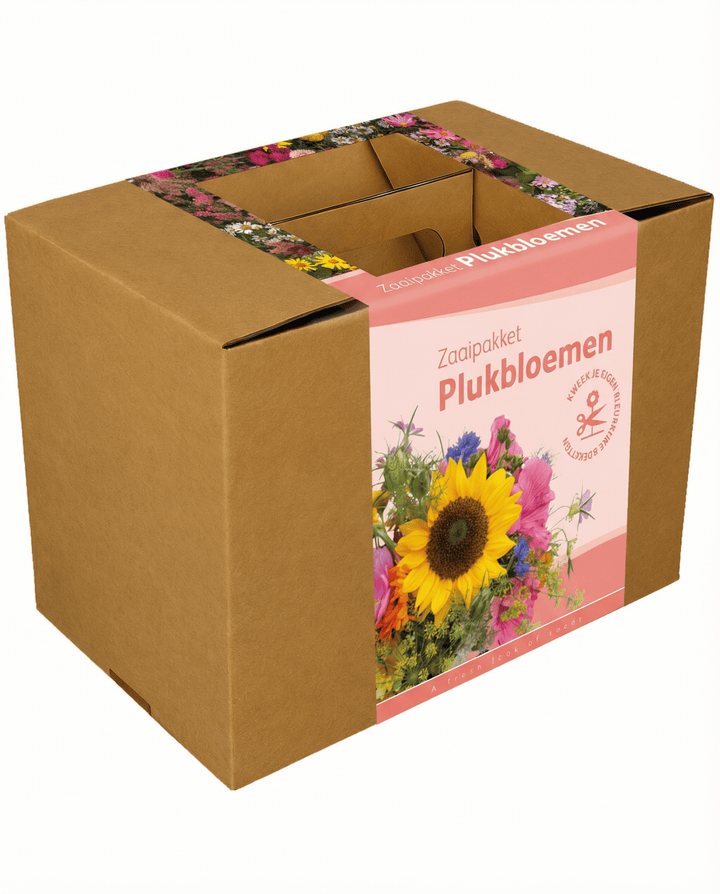 Schnittblumen-Bouquet-Mix mit Schnur und Schere Samen – einjähriges Anzuchtset