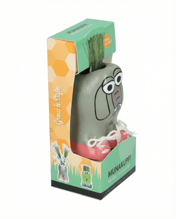 Italienisches Raygras Samen (Lolium multiflorum) – Anzucht-Kit