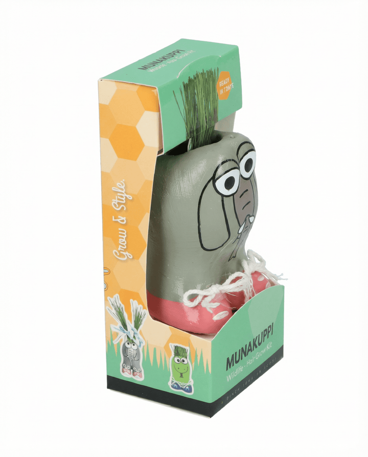 Italienisches Raygras Samen (Lolium multiflorum) – Anzucht-Kit