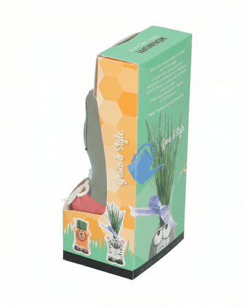 Italienisches Raygras Samen – Anzucht-Kit von SeedsChoice