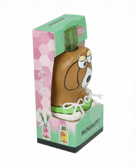 Lolium Multiflorum Samen Lolium Multiflorum Grasset
