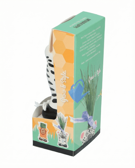 Grass Zebra (Lolium multiflorum) – Anzuchtset Samen von SeedsChoice