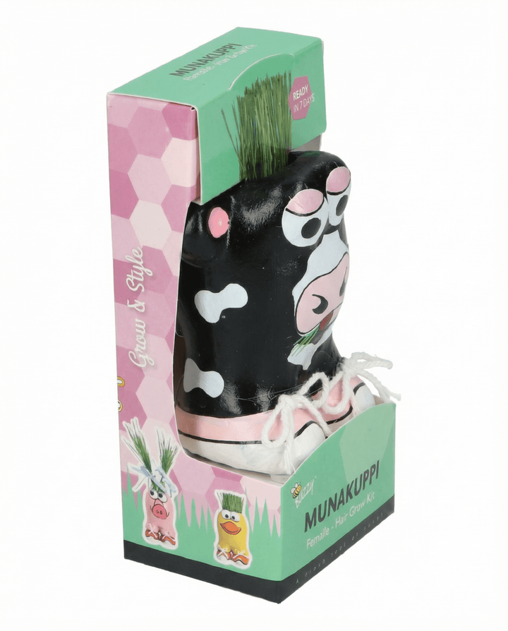 Italienisches Raygras Weide Samen (Lolium multiflorum) – Anzucht-Kit
