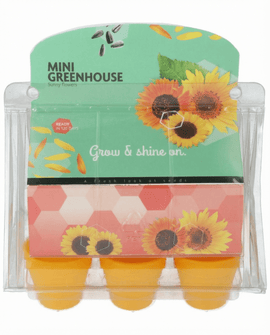 Sunflower Seeds Helianthus Annuus Mini Greenhouse Kit Pot Sunflower