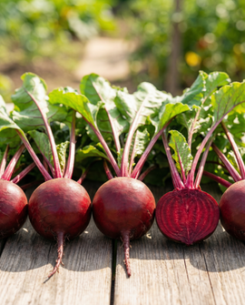 Beetroot Seed Tape Beta Vulgaris Annual 7.5 M Ribbon