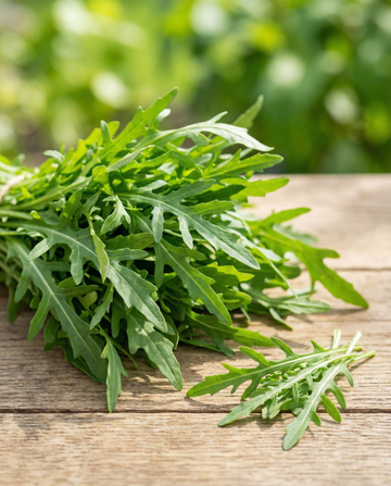 Wild Rocket Tape 7.5m Ribbon Samen (Diplotaxis tenuifolia) – einjähriges Saatband