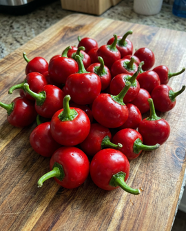 Papecchia-Paprikasamen Capsicum Annuum einjährig