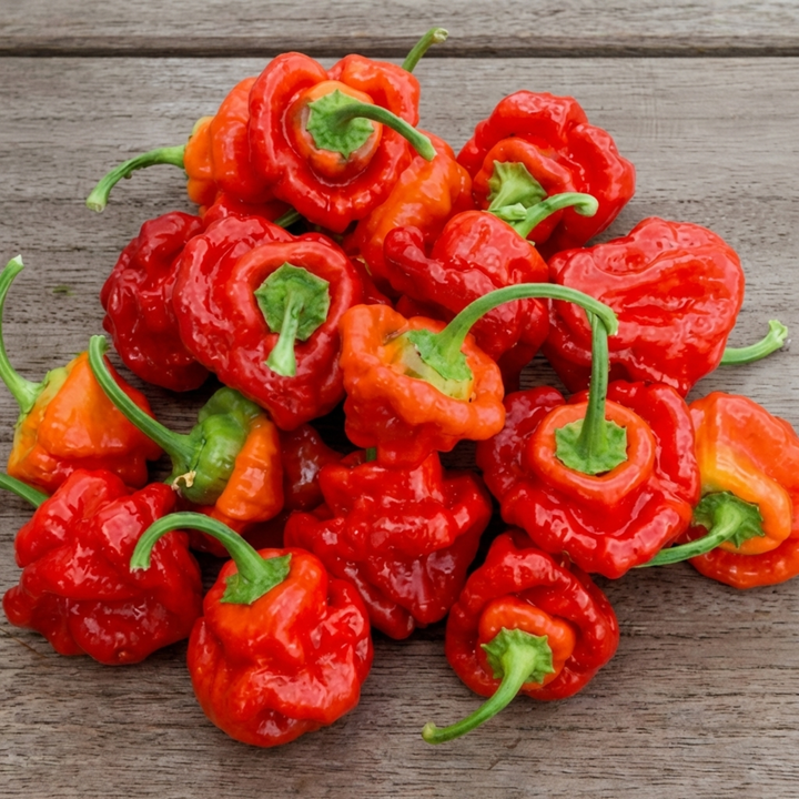 Scotch Bonnet Pepper Red seeds (Capsicum chinense) – annual vegetable