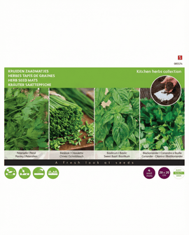 Kräutersaatmatten Petersilie Petroselinum Crispum 4er-Pack 20x20 cm