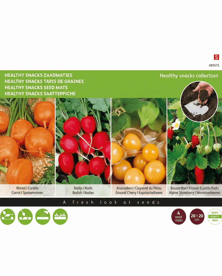 Gesunde Snacks Matten 4 20x20 cm Samen (Daucus carota) – Saatmatten