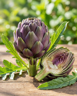 Artichoke Violetto Precoce Seeds Cynara Scolymus Perennial Vegetable