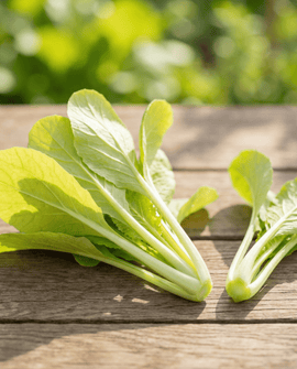 Turnip Greens Seeds Brassica Pekinensis Annual Yellow Variety