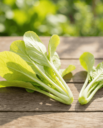 Stielmus Gelb Samen (Brassica pekinensis) – einjähriges Gemüse
