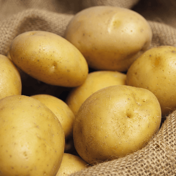 True Potato Soltastic F1 seeds (Solanum tuberosum) – annual vegetable