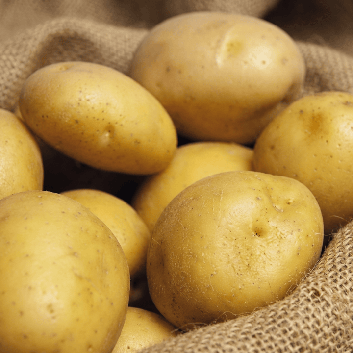 True Potato Soltastic F1 seeds (Solanum tuberosum) – annual vegetable