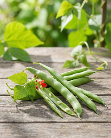 Runner Bean Emergo 100g (Phaseolus coccineus) – annual vegetable seeds from SeedsChoice