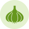 Alliumgewächse