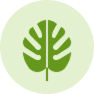 Exotisch & selten