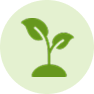 Microgreens & Sprossen