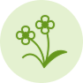 Wildblumen