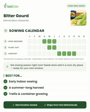 Sowing calendar for Bitter Gourd in a temperate European climate: sow indoors April to June, plant out May to June, harvest July to October; seeds store well until the next sowing season