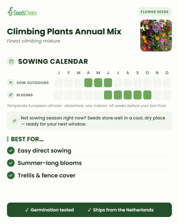 Aussaatkalender für Climbing Plants Annual Mix im gemäßigten europäischen Klima: Direktsaat April bis Juni, Blüte Juni bis Oktober; Samen bleiben bis zur nächsten Aussaatsaison keimfähig