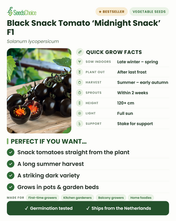 Black Snack Tomato Midnight Snack F1 quick grow facts: sow indoors late winter to spring, plant out after last frost, harvest summer to early autumn, height 120+ cm, full sun — key benefits and who this snack tomato suits