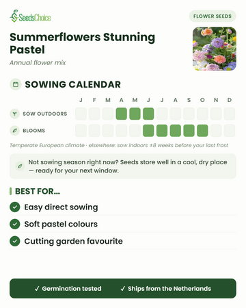 Aussaatkalender für Summerflowers Stunning Pastel im gemäßigten europäischen Klima: Direktsaat April bis Juni, Blüte Juni bis Oktober; Samen bleiben bis zur nächsten Aussaatsaison keimfähig